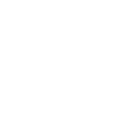 Car Mechanic